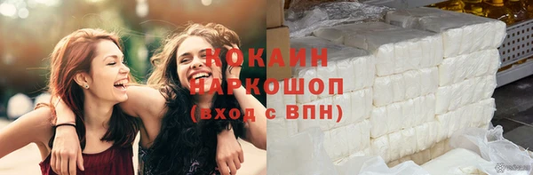 хмурый Алзамай