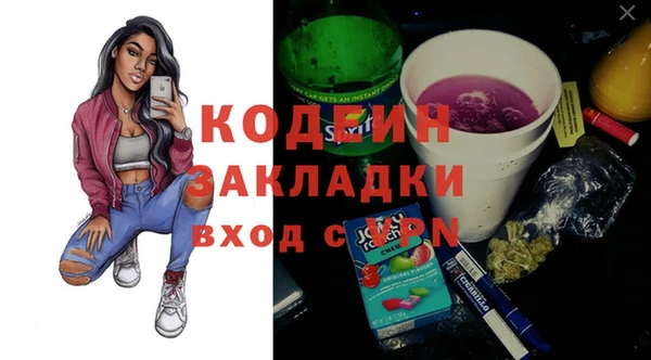 хмурый Алзамай
