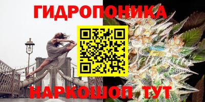 гашиш Коммунар