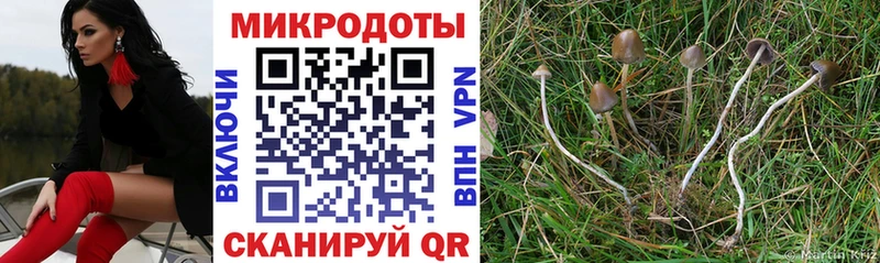 закладки  Мичуринск  Галлюциногенные грибы мухоморы 