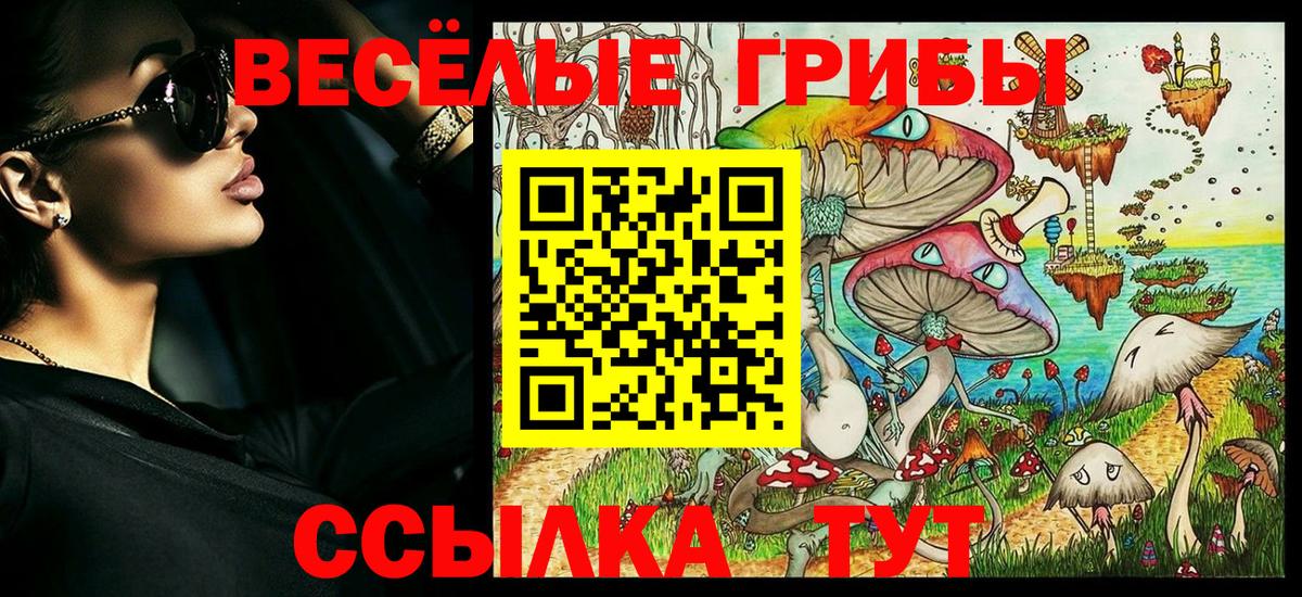 Мичуринск  Галлюциногенные грибы мицелий  Вход с VPN 