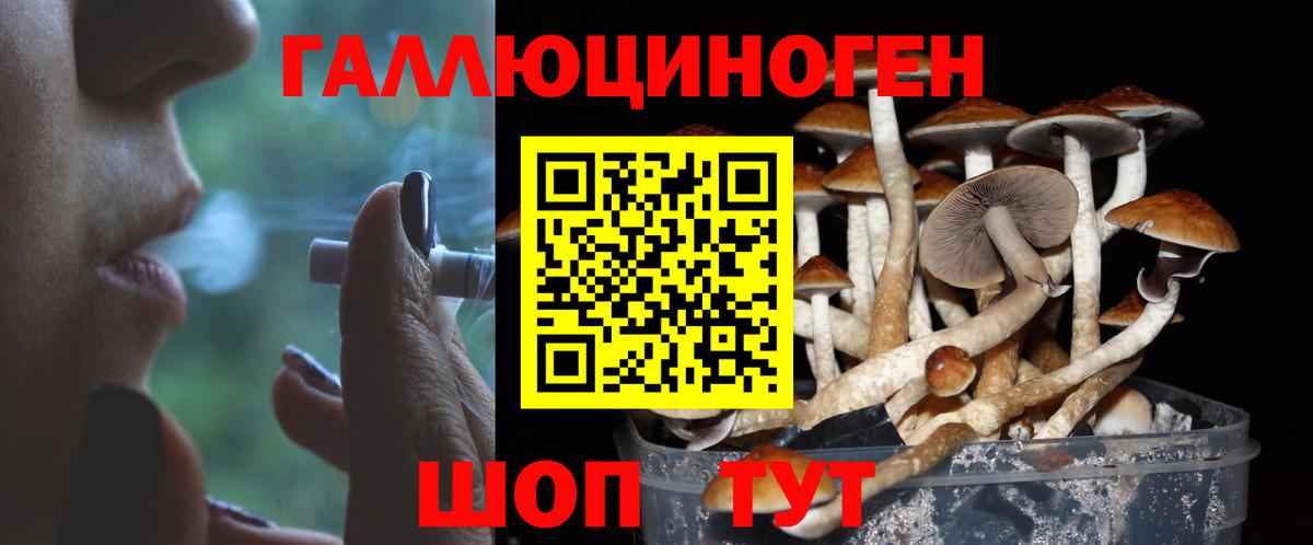 Псилоцибиновые грибы прущие грибы Мичуринск