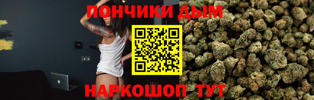 Бошки марихуана индика  Бошки марихуана план  Вход с VPN  Мичуринск  Канабис конопля 
